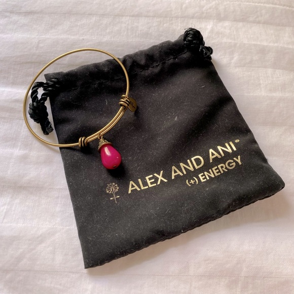 Alex and Ani Gold Bracelet - Picture 1 of 7